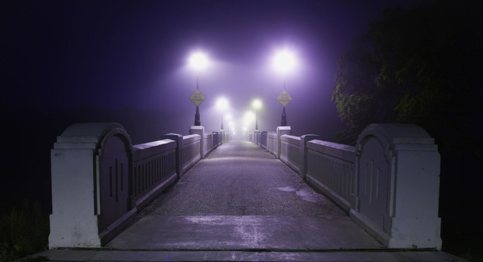 御兽小说【不科学御兽小说】