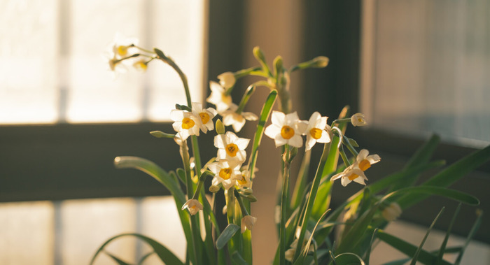 回收过期牛奶,用来做什么【大量回收过期牛奶】