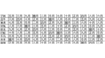 龟骨命格是下等命吗【龟骨命运详解】