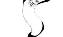 高速公路电话标志图片有几种【高速公路公用电话标志图片】