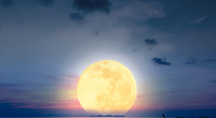 on和off分别是什么意思【on和off怎么读】