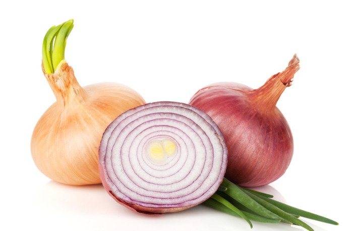 on和off分别是什么意思【on和off怎么读】