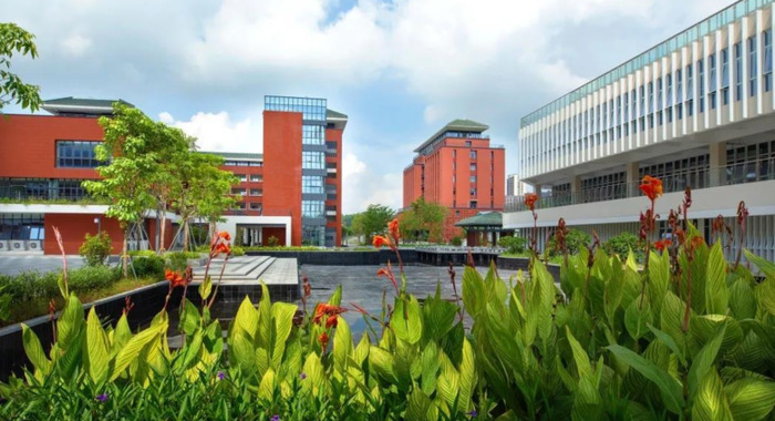 近期目标和远期目标怎么写【近期目标是最重要的阶段目标】