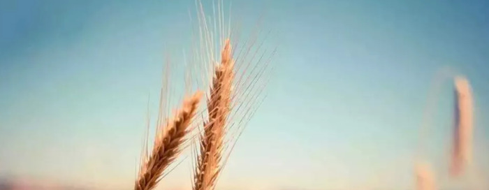 佳茵央视曝光【佳茵效果怎么样?佳茵中央台曝光】