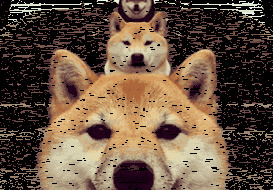 翻译腔经典句式夸人【翻译腔经典句式骂人】