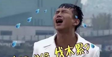 翻译腔经典句式夸人【翻译腔经典句式骂人】