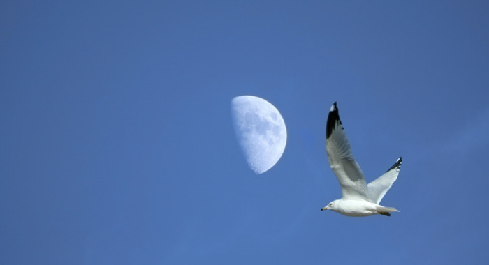 梦见人类即将灭亡【梦见人粪便还闻到了臭味是什么意思】