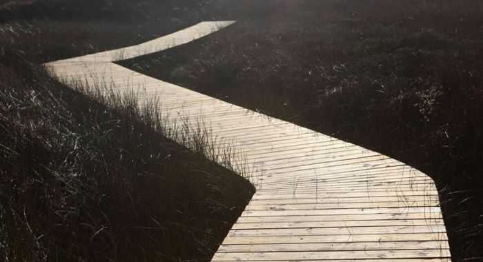 梦见人类即将灭亡【梦见人粪便还闻到了臭味是什么意思】