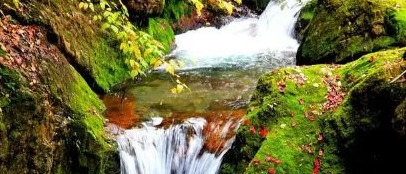 泽雷随卦详解事业【泽雷随卦详解财运】