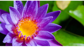 一脸福相的女孩代表什么【一脸福相的女孩手相】