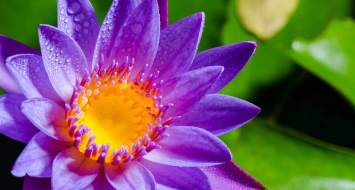 一脸福相的女孩代表什么【一脸福相的女孩手相】