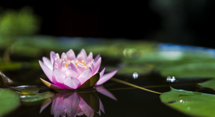 一脸福相的女孩代表什么【一脸福相的女孩手相】