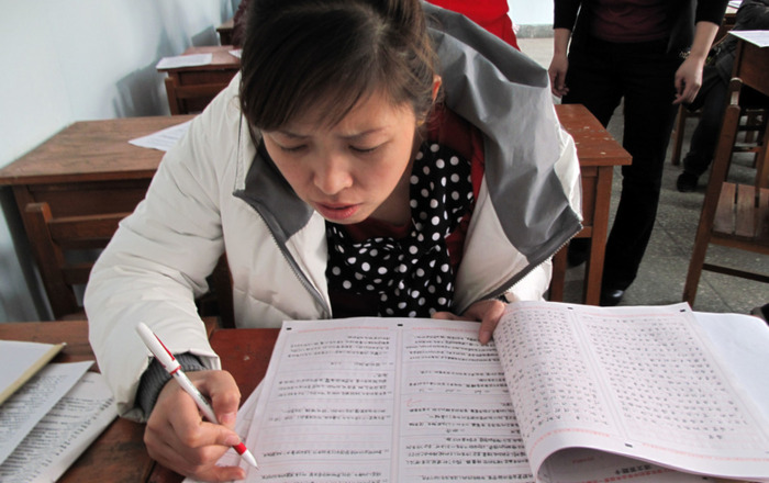 乌鸦兄弟俩为什么都不去修补这个洞【乌鸦兄弟的故事告诉我们什么道理】