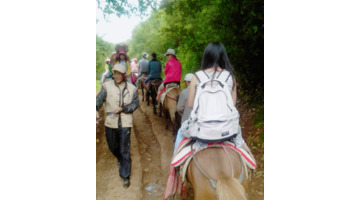 去丽江玩需要多少费用【去一趟丽江旅游一般花多少钱】