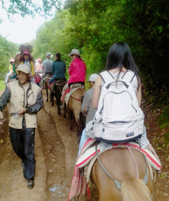 去丽江玩需要多少费用【去一趟丽江旅游一般花多少钱】