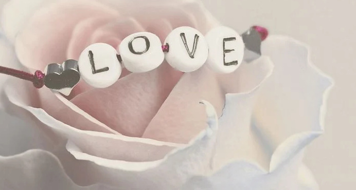 豌豆上的公主读后感200字【豌豆上的公主读后感30字】