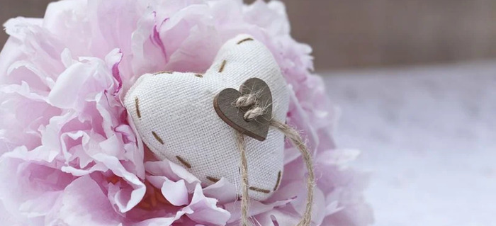 豌豆上的公主读后感200字【豌豆上的公主读后感30字】