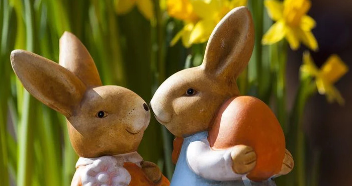 豌豆上的公主读后感200字【豌豆上的公主读后感30字】