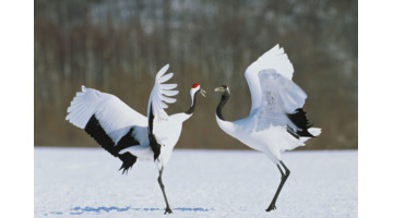 表达相聚开心的诗句,1到十【相聚很开心的诗句】