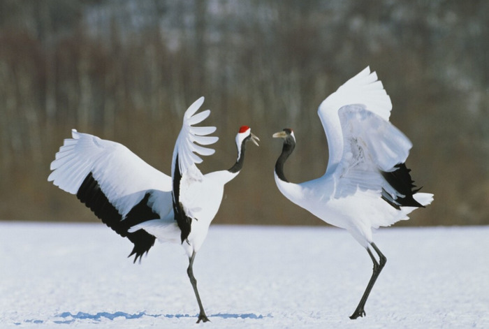 表达相聚开心的诗句,1到十【相聚很开心的诗句】