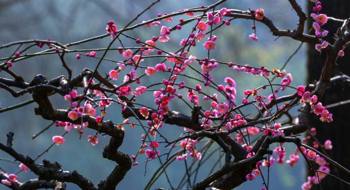 表达相聚开心的诗句,1到十【相聚很开心的诗句】