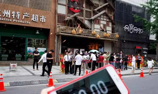 哥老官牛蛙多大【哥老官的牛蛙是什么品种啊】