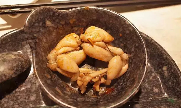 哥老官牛蛙多大【哥老官的牛蛙是什么品种啊】