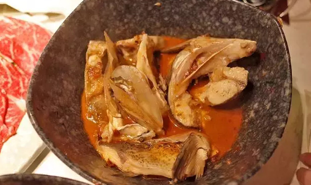 哥老官牛蛙多大【哥老官的牛蛙是什么品种啊】