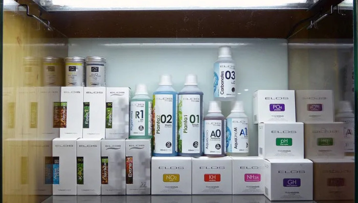 小型鱼缸造景图【小鱼缸造景效果图圆的】