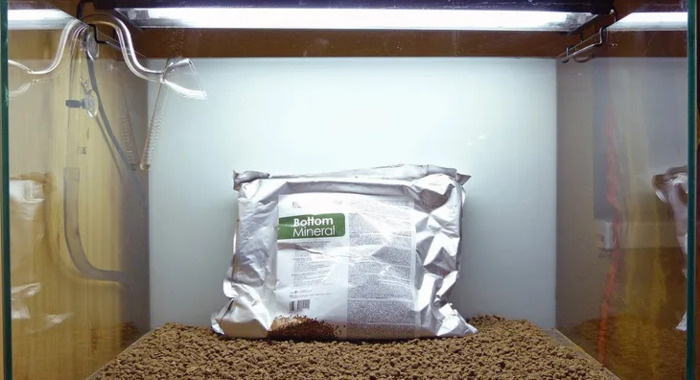 小型鱼缸造景图【小鱼缸造景效果图圆的】