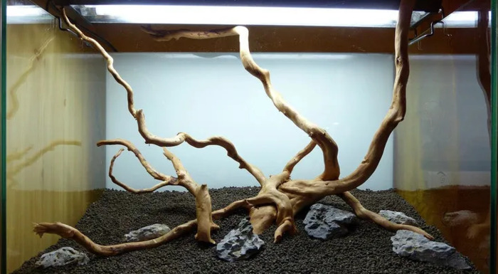 小型鱼缸造景图【小鱼缸造景效果图圆的】