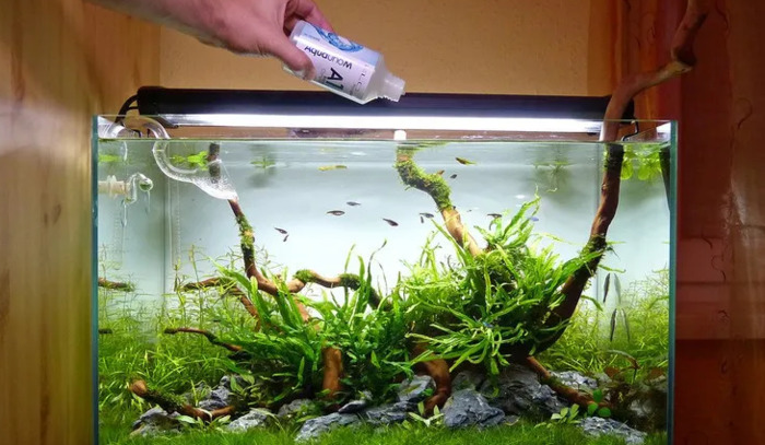 小型鱼缸造景图【小鱼缸造景效果图圆的】