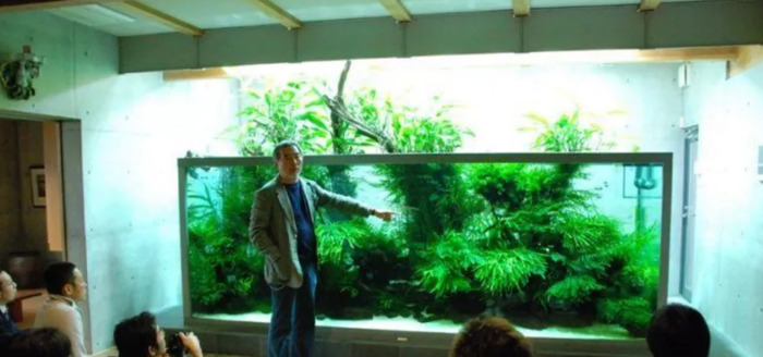 小型鱼缸造景图【小鱼缸造景效果图圆的】