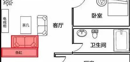 家里养鱼忌讳风水【家中养风水鱼的讲究】