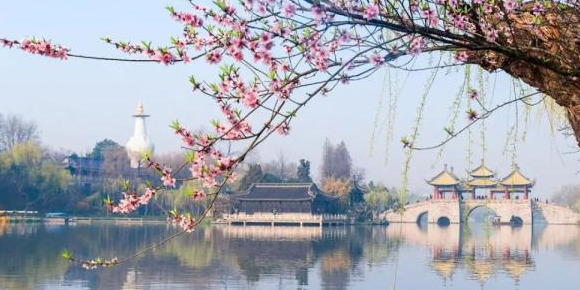 血樱家族名字格式【血樱家族邪月真人照片】