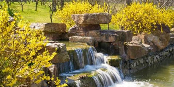 血樱家族名字格式【血樱家族邪月真人照片】