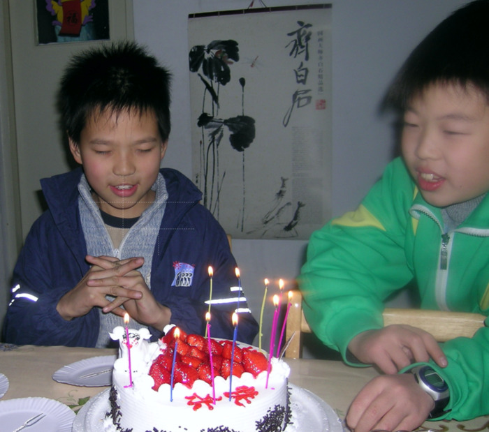 小鸡 作文【描写小鸡的作文】