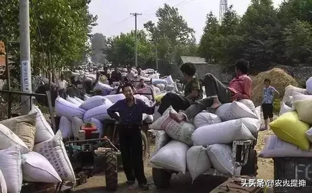 为啥叫交粮【交公粮是什么意思】