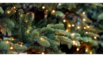 PS圣诞树【ps如何画圣诞树】