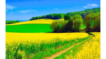 心平气和正能量的句子【心态美好正能量句子】