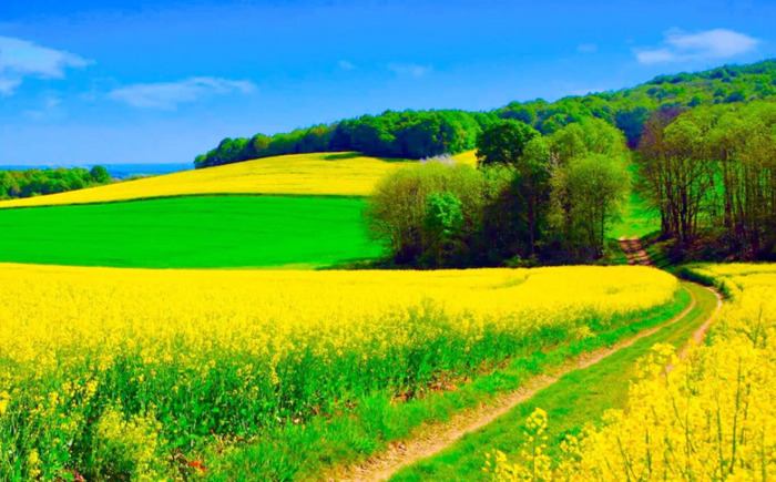 心平气和正能量的句子【心态美好正能量句子】