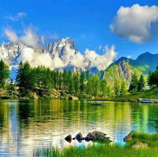 心平气和正能量的句子【心态美好正能量句子】