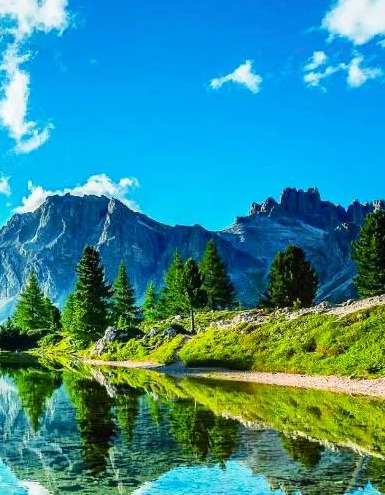 心平气和正能量的句子【心态美好正能量句子】