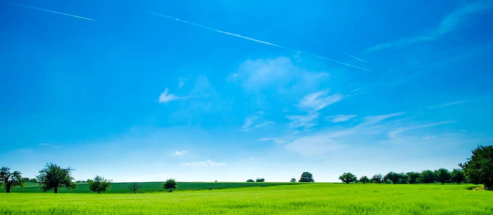 心平气和正能量的句子【心态美好正能量句子】