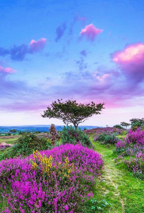 心平气和正能量的句子【心态美好正能量句子】