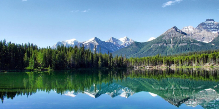 心平气和正能量的句子【心态美好正能量句子】