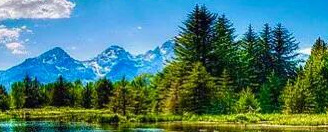 心平气和正能量的句子【心态美好正能量句子】