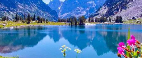 心平气和正能量的句子【心态美好正能量句子】