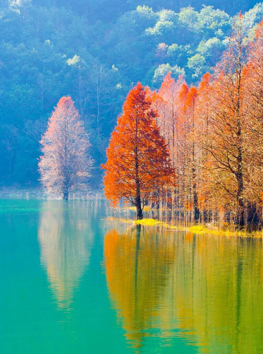 心平气和正能量的句子【心态美好正能量句子】