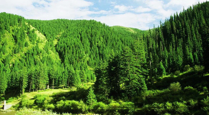 心平气和正能量的句子【心态美好正能量句子】